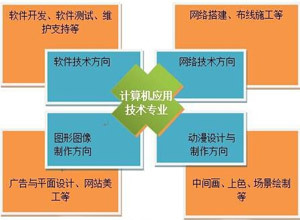 计算机应用技术专业 软件开发方向就业前景深度解析